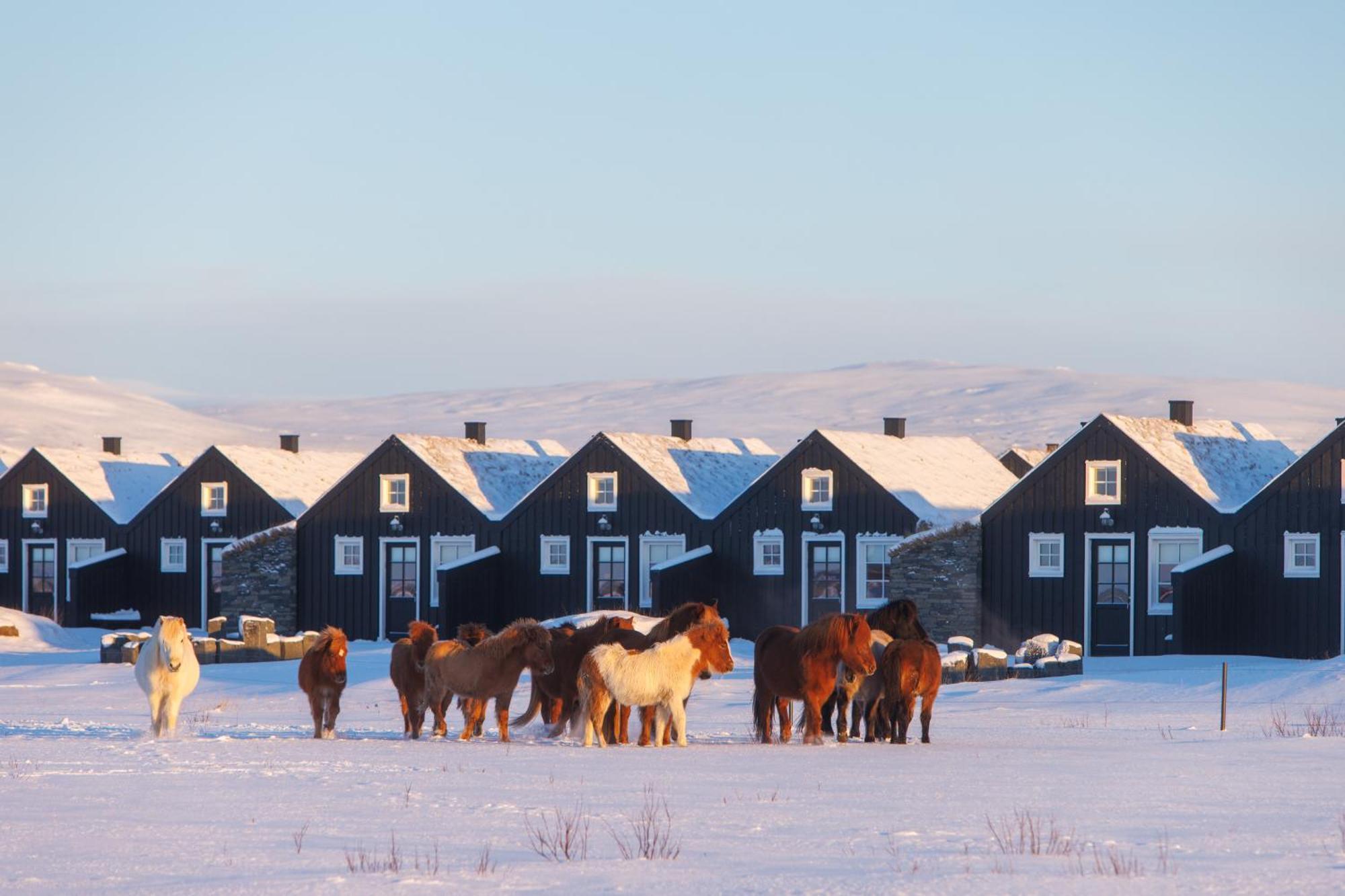 Torfhus Retreat Hotel Selfoss Exterior photo